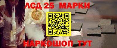 apvp Гатчина