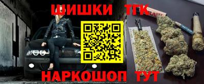 apvp Гатчина