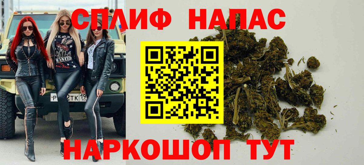Бошки Шишки план Гурьевск